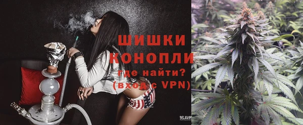 круглые Белокуриха