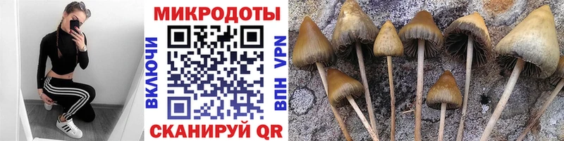 Галлюциногенные грибы GOLDEN TEACHER  как найти закладки  Ялта 